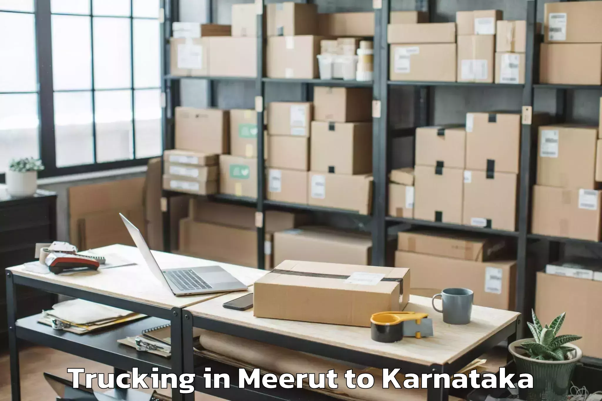 Book Meerut to Shirhatti Trucking Online